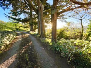 Photo 56- click for photo gallery